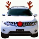 Cheap Christmas Car Decorations and Costumes