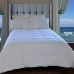 Natural Comfort White Down Alternative Queen Comforter ONLY $37 Shipped (Reg $89.99!)