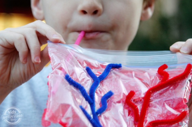 inflatable-heart-pipe-cleaner-craft