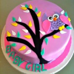 Adorable Owl Themed Birthday Cakes