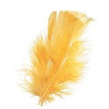 feather-yellow