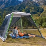 Coleman 10’x10′ Instant Canopy/Screen House on Sale